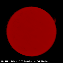 Immagine del sole ripresa tramite radioeliografo a 17 Ghz